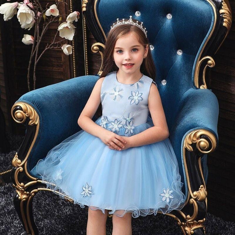 Robe Princesse Fille Tulle Clair