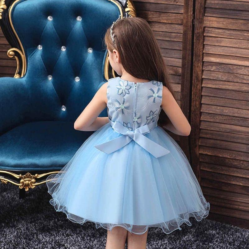 Robe Princesse Fille Tulle Clair